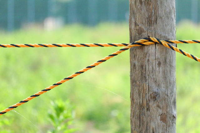 杭とロープ