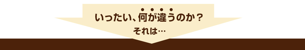 いったい、何が違うのか？それは…