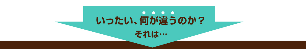 いったい、何が違うのか？それは…