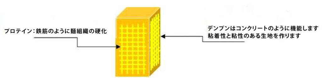 麺線のプロテインとデンプンの説明