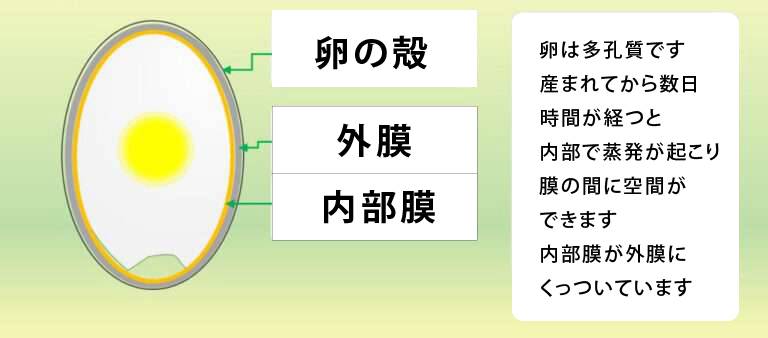 茹で卵の解説