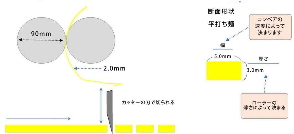 平打ち麺の断面形状