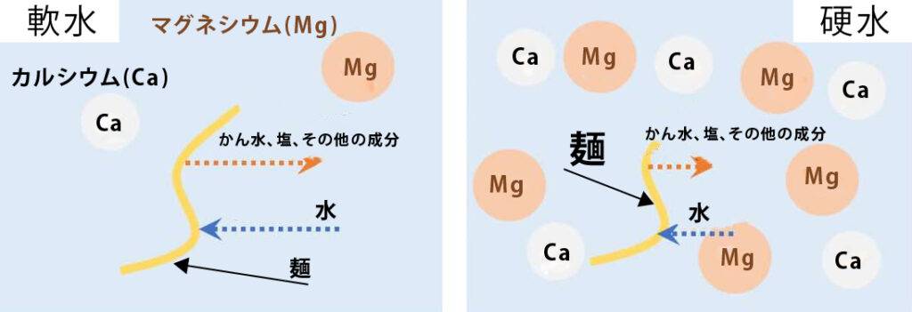 軟水と硬水の違い、カルシウム、マグネシウム