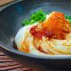udon noodle